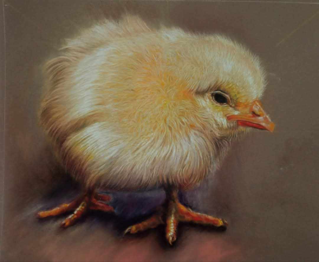La Belva Feroce