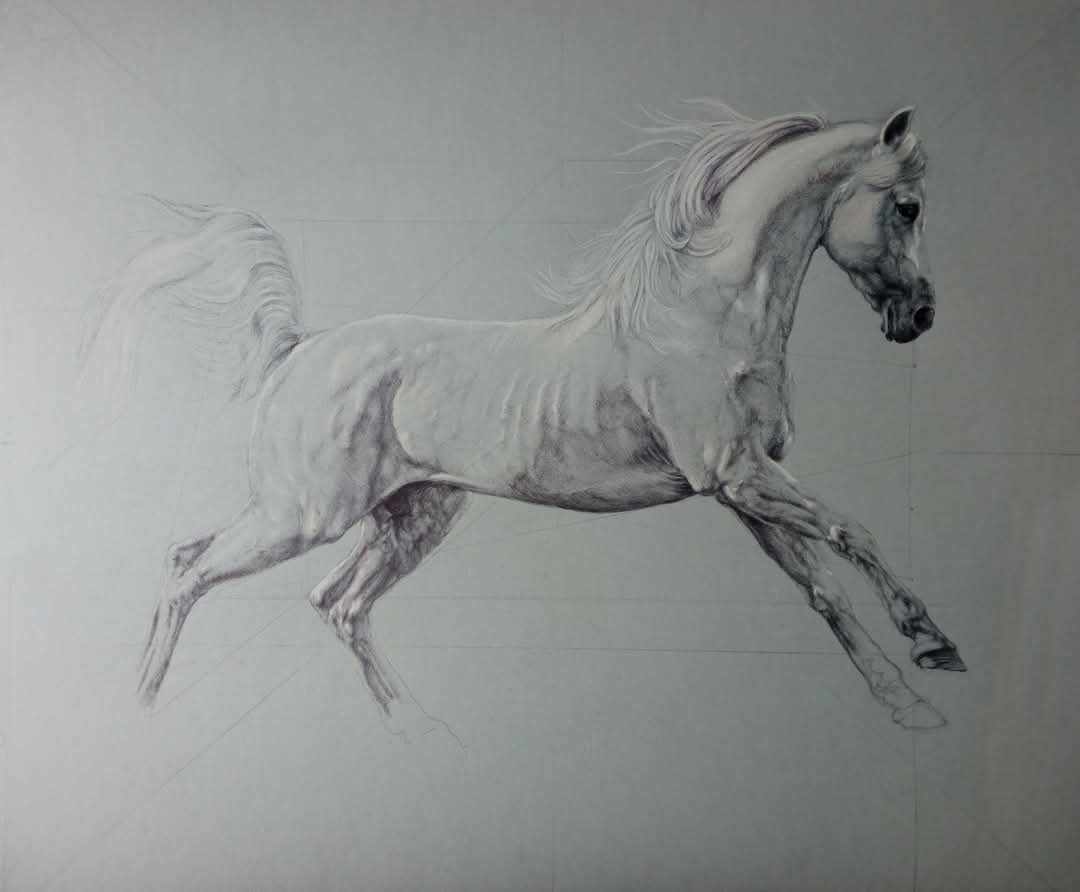 Cavallo Bianco